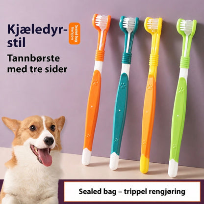 Tannpleie for kjæledyr